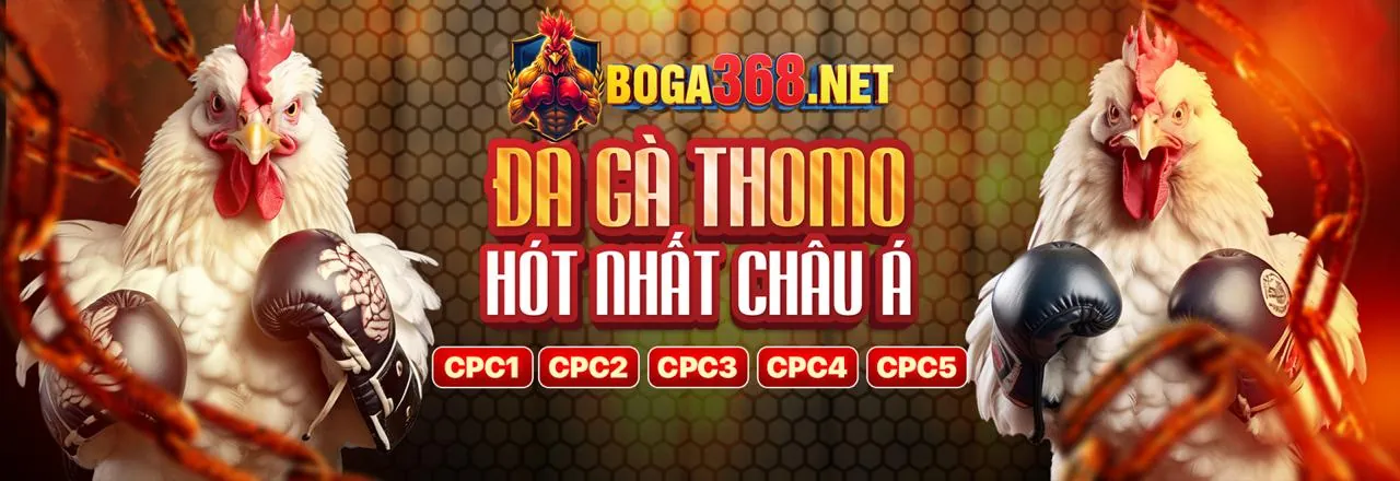 Đá gà trực tuyến Qibet với các trận đấu kịch tính và ưu đãi hấp dẫn