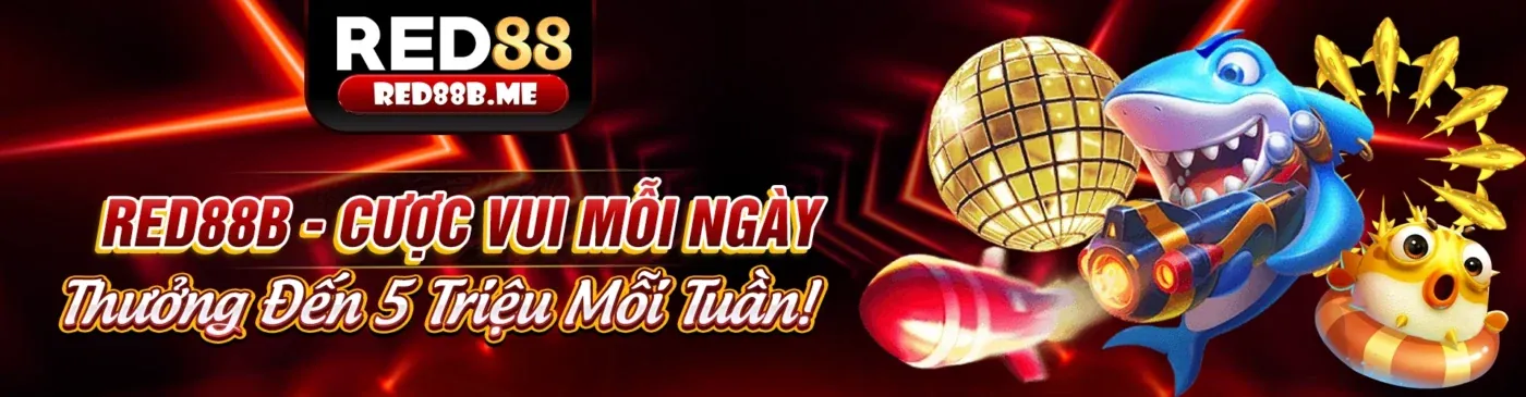 Hình ảnh minh họa Chính sách Cookie của QiBET
